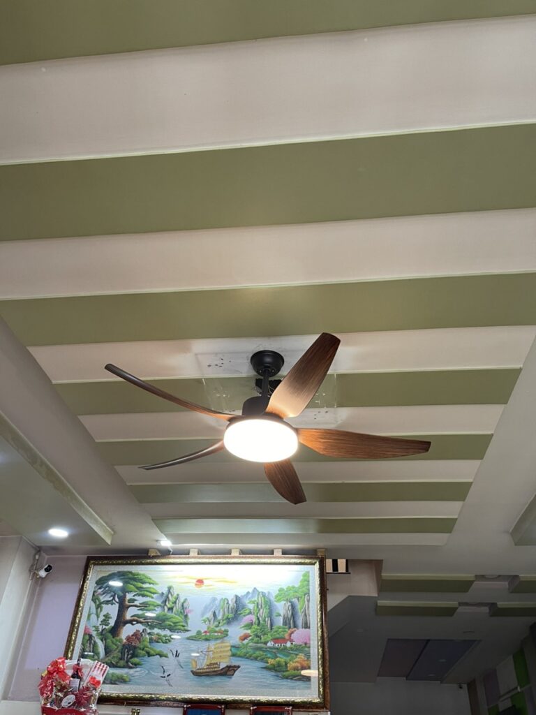 Quạt Trần QViFa