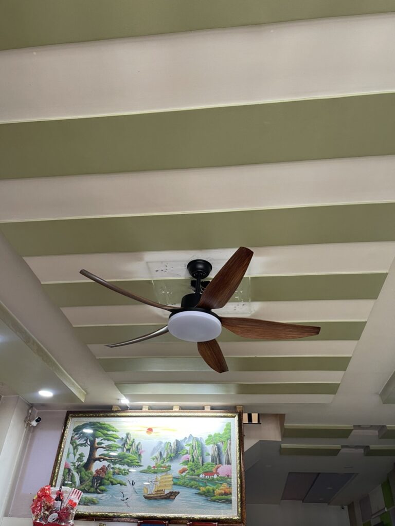 Quạt Trần QViFa
