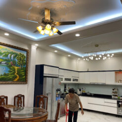 Quạt trần trang trí chung cư QViFa - 05 - 21