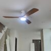 Quạt trần chung cư cánh gỗ QViFa - 36