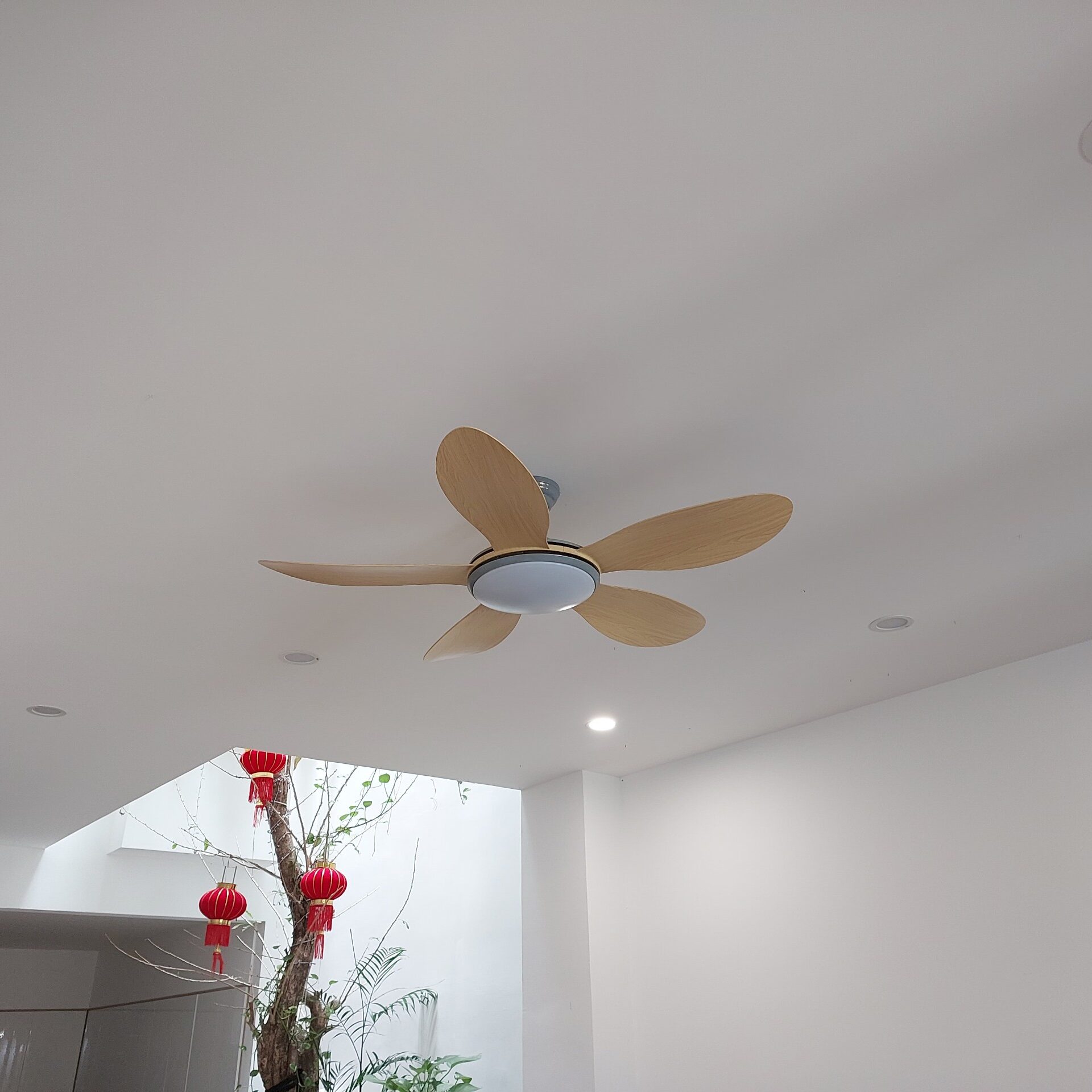 Quạt Trần Phòng Khách Cánh Nhựa QViFa - 55 - Ảnh 6