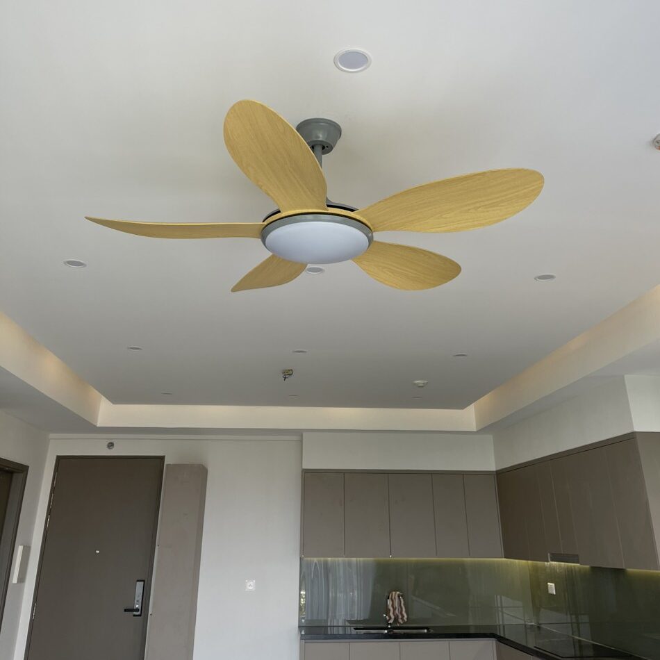 Quạt trần phòng khách cánh nhựa bảo hành 5 năm.