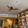 Quạt trần chung cư hiện đại QViFa - 57