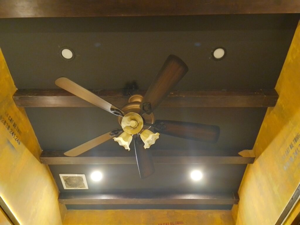 Quạt Trần QViFa
