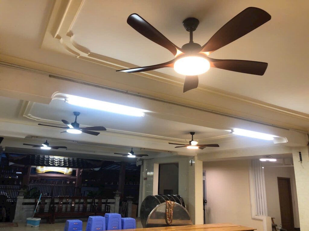 Quạt Trần QViFa