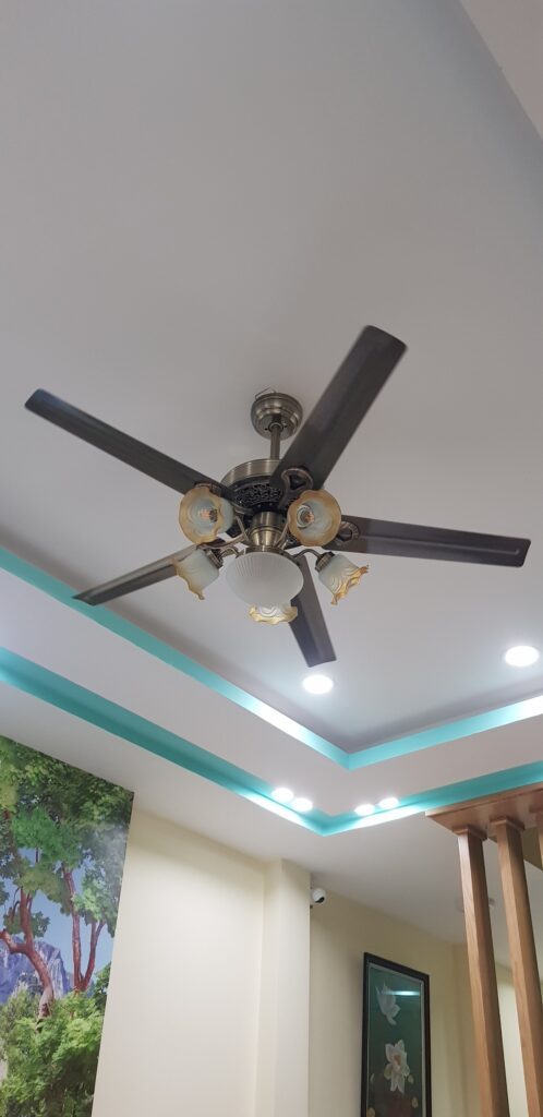Quạt Trần QViFa