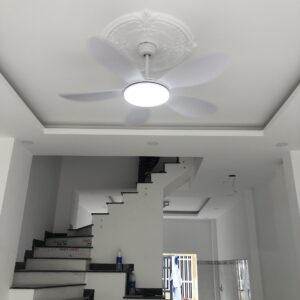Quạt trần phòng khách hiện đại QViFa - 54