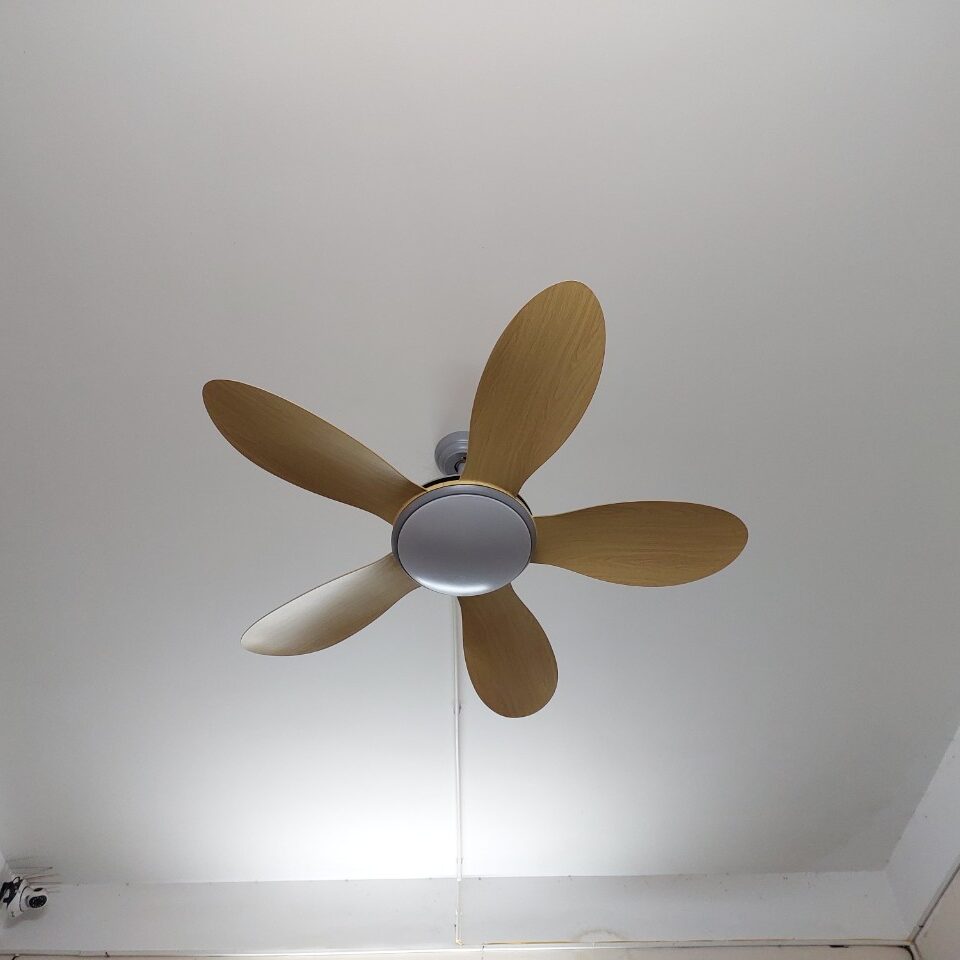 Quạt trần phòng khách cánh nhựa cao cấp QViFa - 55
