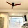 Quạt Trần Chung Cư Đơn Giản QViFa - 57
