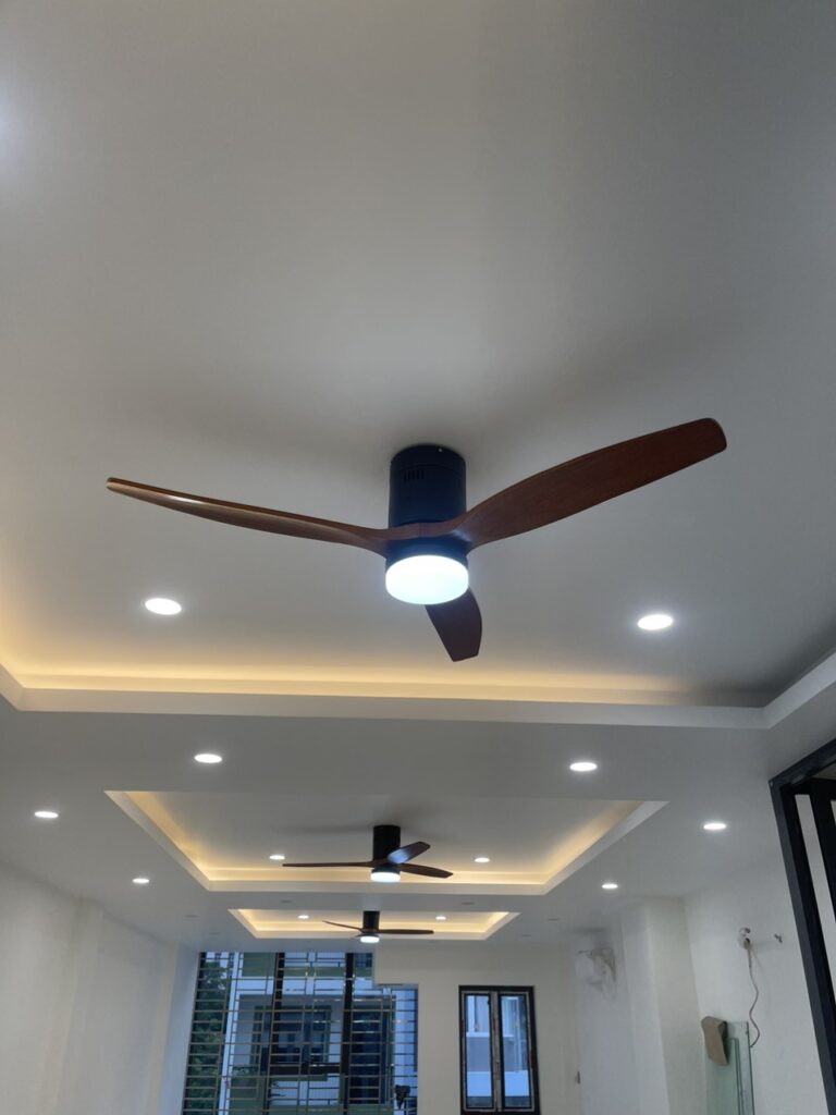 Quạt Trần QViFa