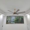 Quạt trần 8 cánh lớn - QViFa - 435
